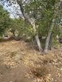 0 Los Altos - Photo 7