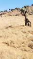 0 40th Street - Photo 1