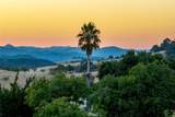 6255 Peachy Canyon Road - Photo 36