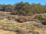 40570 Elm Brush Trail - Photo 29