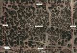 0 Daisy Road - Photo 1