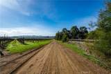 4910 Edna Road - Photo 17