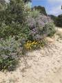 0 Upper Valley Road - Photo 22