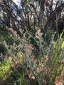 0 Upper Valley Road - Photo 30