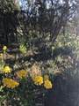 0 Upper Valley Road - Photo 34