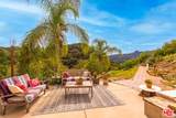 2529 Topanga Skyline Drive - Photo 3