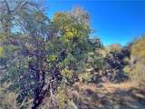 28618 Chihuahua Valley Road - Photo 13