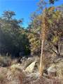 28618 Chihuahua Valley Road - Photo 15