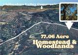 28618 Chihuahua Valley Road - Photo 5