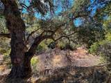 28618 Chihuahua Valley Road - Photo 6
