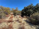 28618 Chihuahua Valley Road - Photo 8