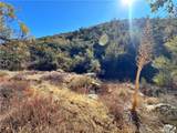 28618 Chihuahua Valley Road - Photo 9