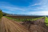 4910 Edna Road - Photo 11