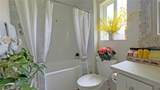 23722 Via Pellicer - Photo 31