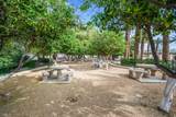 162 Paseo Bravo - Photo 12