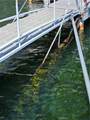 295 Dock N 295 B - Photo 9