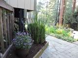 450 Bernstein Drive - Photo 48