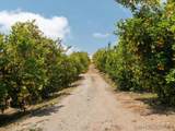 12040 Sierra Rojo Rd - Photo 36