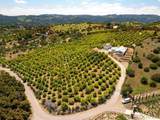 12040 Sierra Rojo Rd - Photo 49