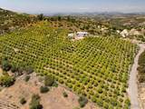 12040 Sierra Rojo Rd - Photo 55
