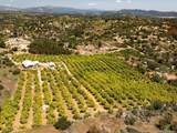 12040 Sierra Rojo Rd - Photo 63