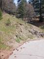 21858 Fern Canyon Road - Photo 5