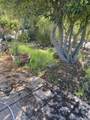 30603 Roadrunner Ridge - Photo 23