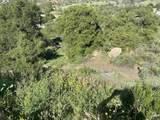 30603 Roadrunner Ridge - Photo 29
