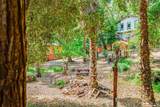 5200 Ardilla Avenue - Photo 46