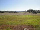 129 Misty View Way - Photo 14