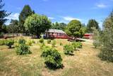 2165 Cox Road - Photo 3