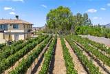 39547 Calle Cabernet - Photo 14
