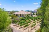 39547 Calle Cabernet - Photo 18