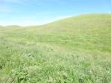 0 Douglas Rd. (Lot 41) - Photo 13