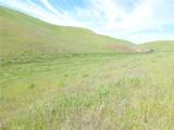 0 Douglas Rd. (Lot 41) - Photo 4