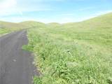 0 Douglas Rd. (Lot 41) - Photo 6