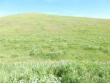 0 Douglas Rd. (Lot 41) - Photo 9