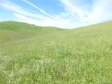 0 Douglas Rd. (Lot 42) - Photo 10