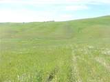 0 Douglas Rd. (Lot 42) - Photo 13