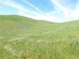0 Douglas Rd. (Lot 42) - Photo 14