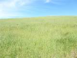 0 Douglas Rd. (Lot 42) - Photo 15
