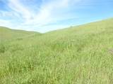 0 Douglas Rd. (Lot 42) - Photo 16