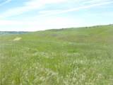 0 Douglas Rd. (Lot 42) - Photo 6