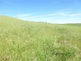 0 Douglas Rd. (Lot 42) - Photo 8