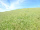 0 Douglas Rd. (Lot 42) - Photo 9