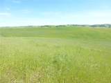 0 Douglas Rd. (Lot 43) - Photo 11
