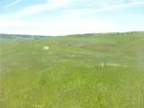 0 Douglas Rd. (Lot 43) - Photo 13