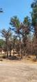16034 13th Avenue - Photo 1