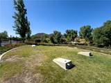 31934 Hollyhock Street - Photo 46