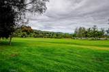 27651 Paseo La Ronda - Photo 54